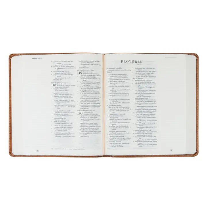 ESV Journaling Bible - Sierra Theme