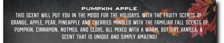 Fall 12oz Candles- Pumpkin Apple