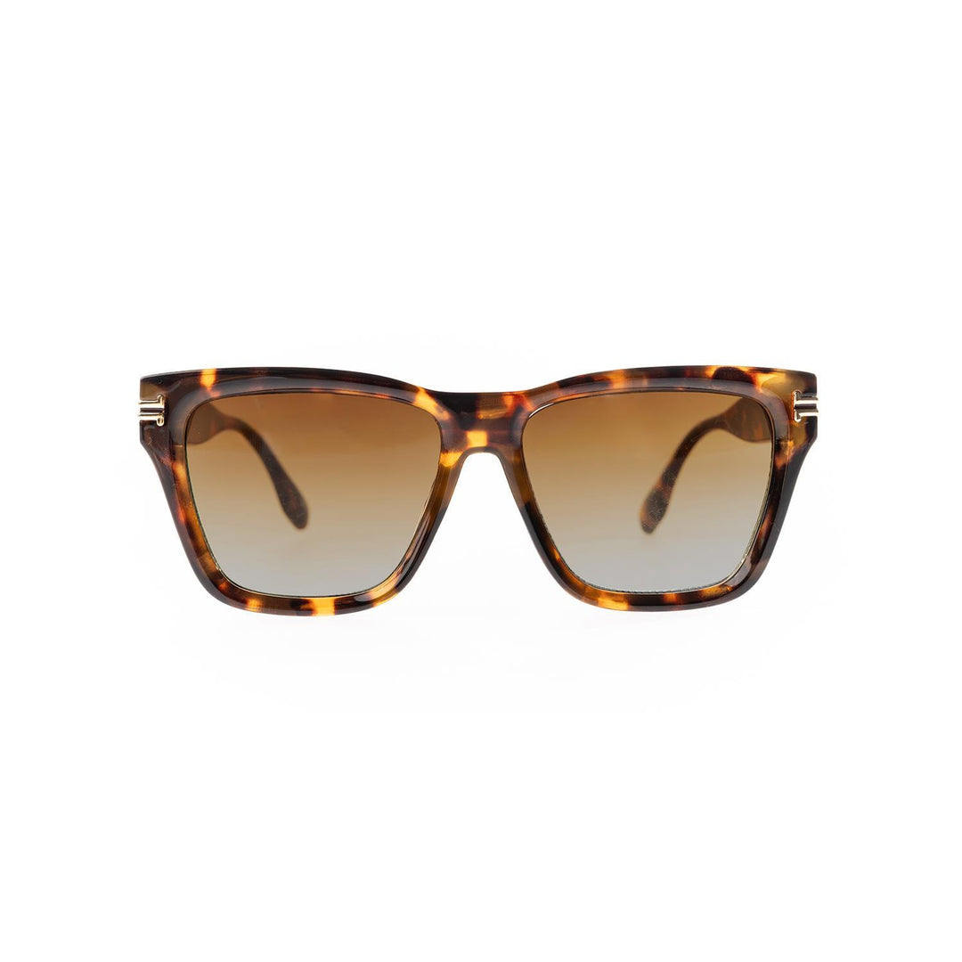 Polarized Sunglasses Jordan Brown Tortoise