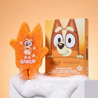 orange sponge shaped like a dog