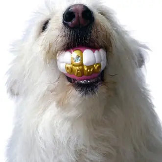 Humunga Bling Chomp Dog Toy Ball- Mini Size