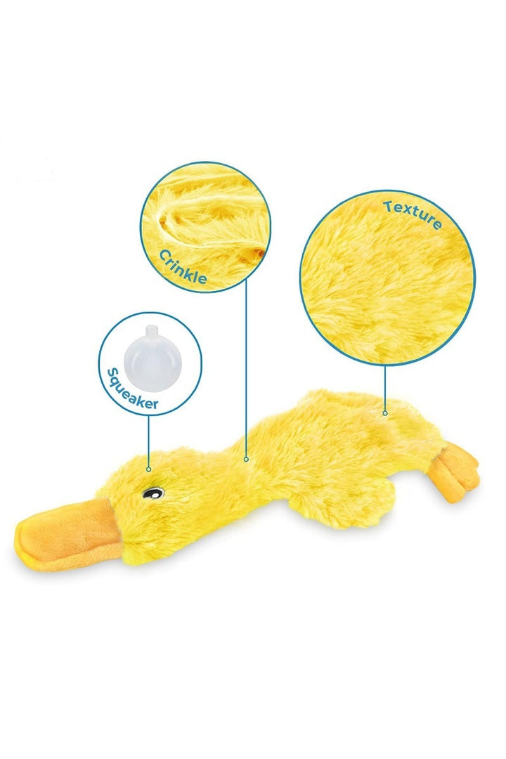 Crinkle Squeaky Duck Toy