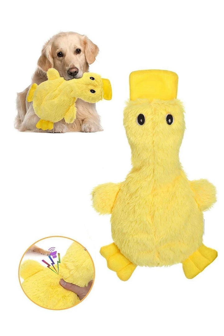 Crinkle Squeaky Duck Toy