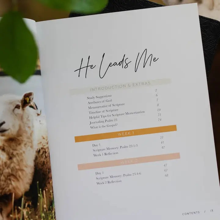 He Leads Me Psalm 23