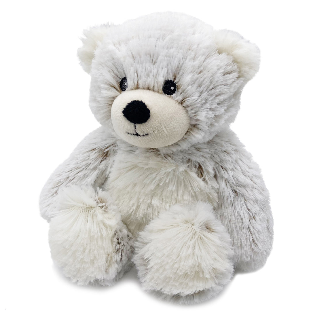 Plush teddy bear on a white background