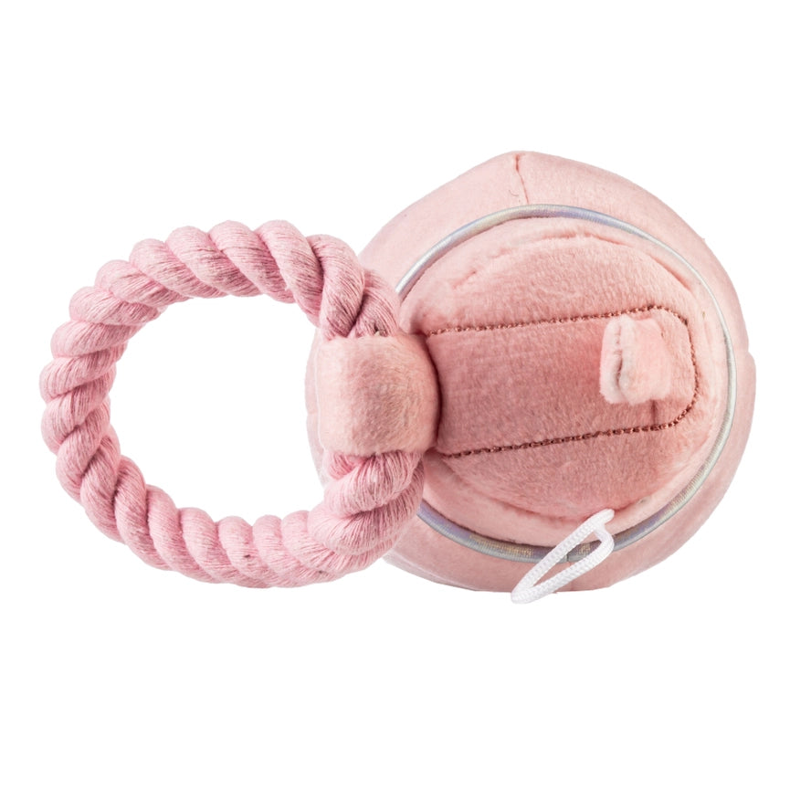 Pawlates Princess Water Bottle Dog Toy