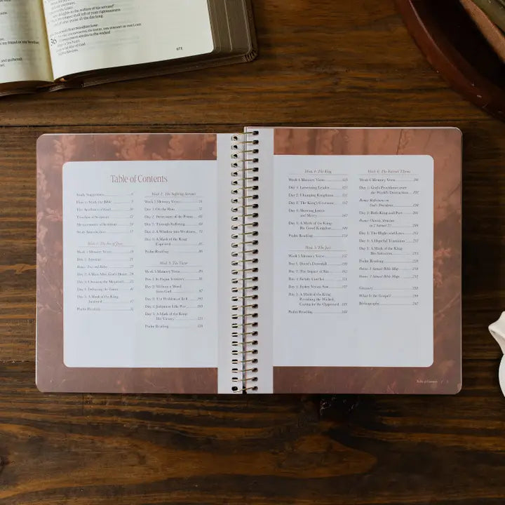 Peaks and Valleys - A Study on the Life of David