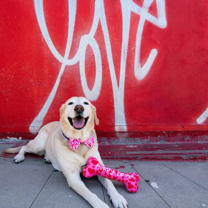 My Puppy Love Dog Toy