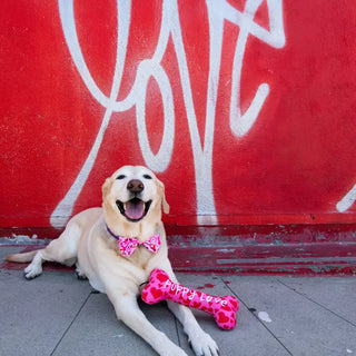 My Puppy Love Dog Toy