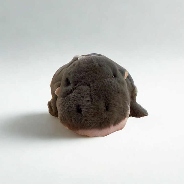 Plush toy hippo on a white background