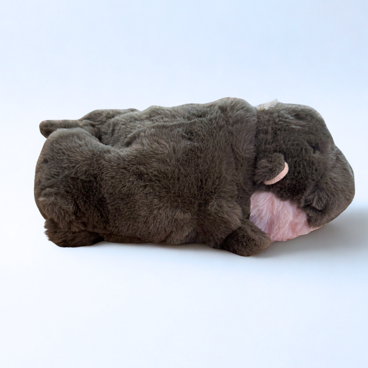 Pygmy Hippo- Warmies Plush
