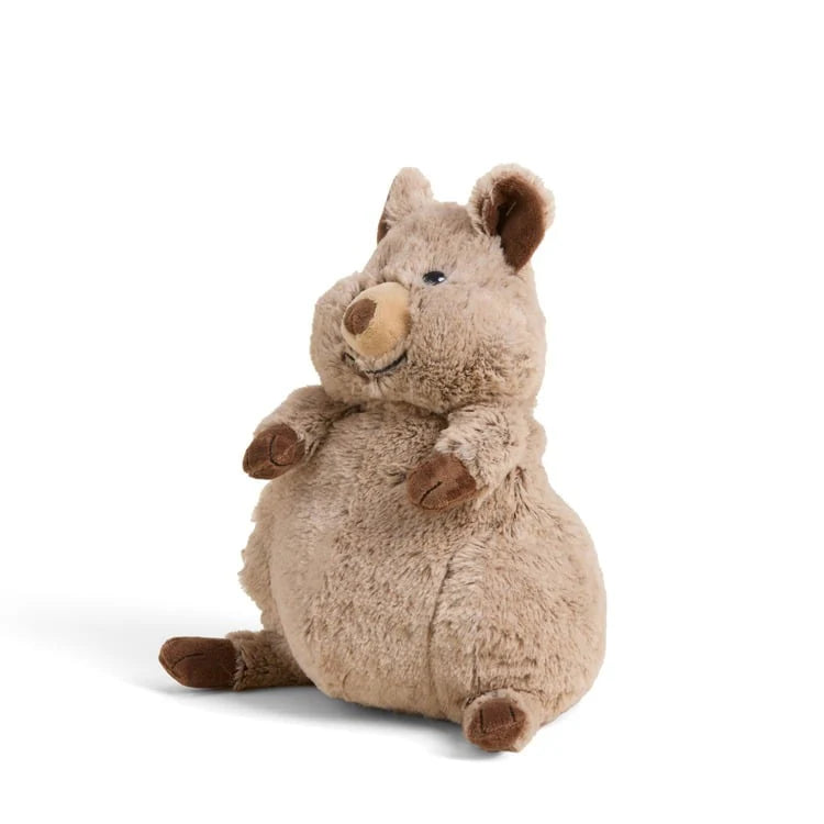 Plush toy quokka on a white background