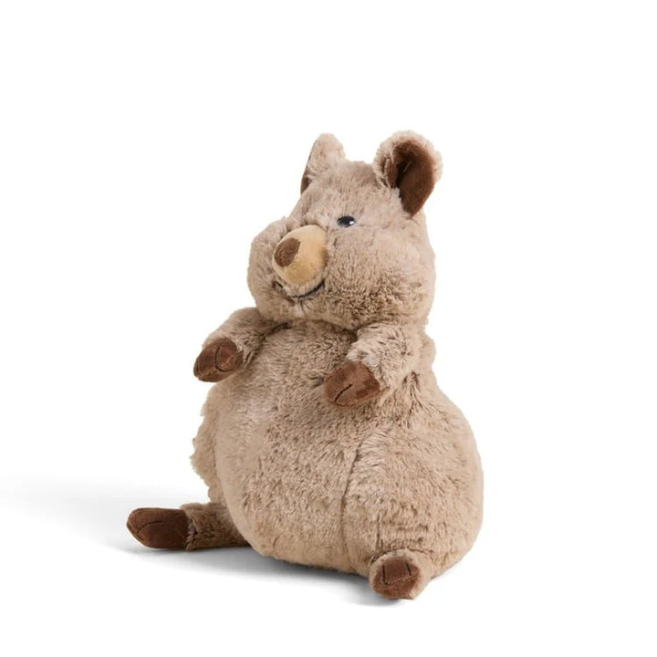 Plush toy quokka on a white background
