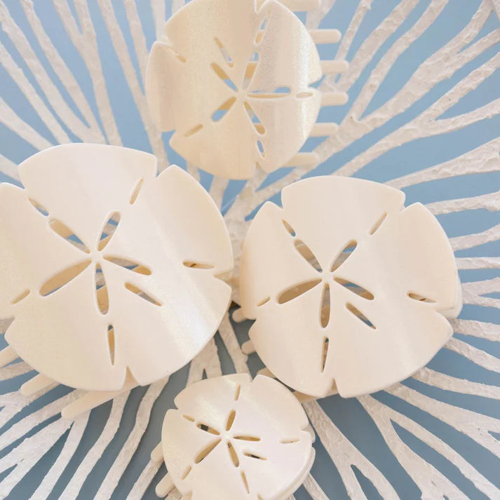 White sand dollars on a textured blue background