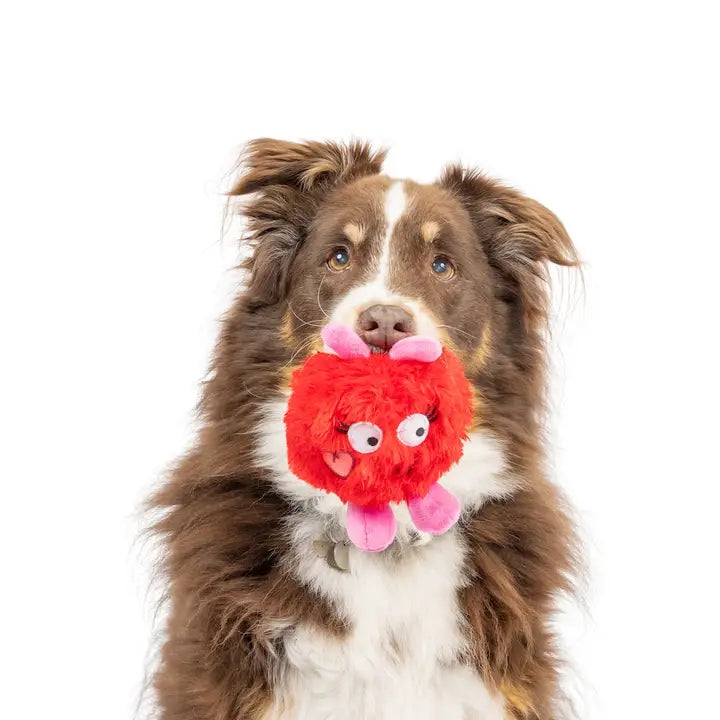 Furbug Dog Toy