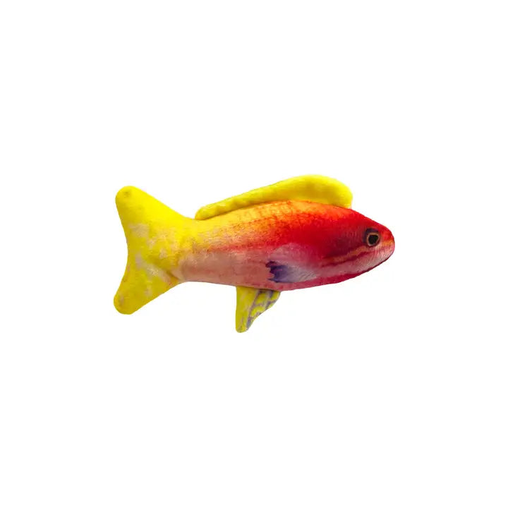 Rainbow Guppy Cat Toy