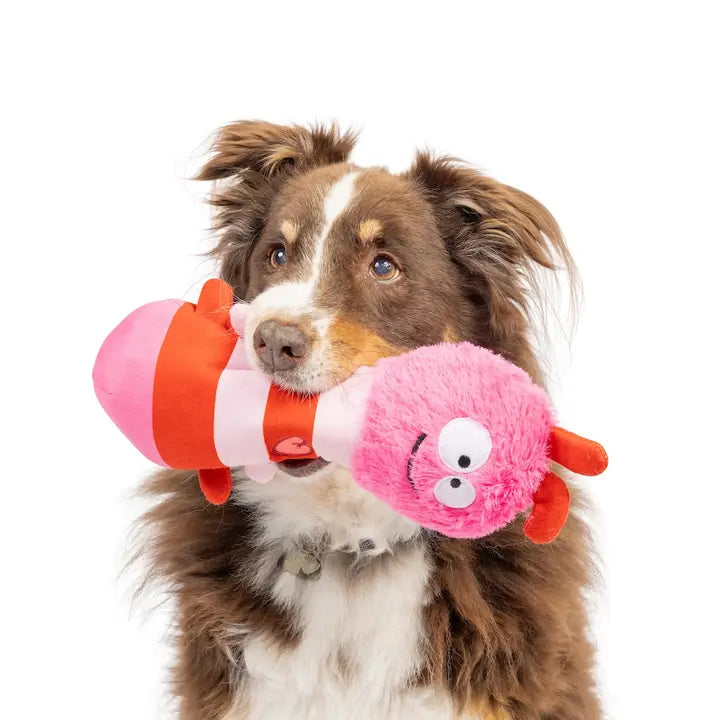 Fetchies® Love Bug Dog Toy