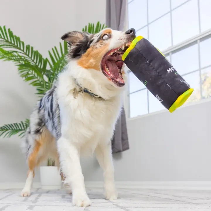 Muttster Energy Dog Toy