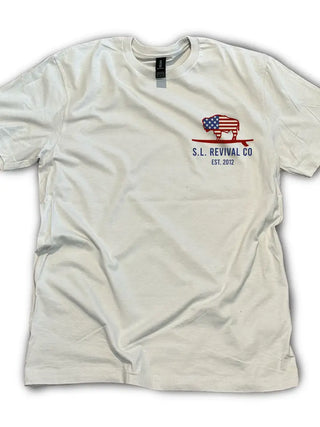 North Carolina Flag Fact Shirt- Ice Gray