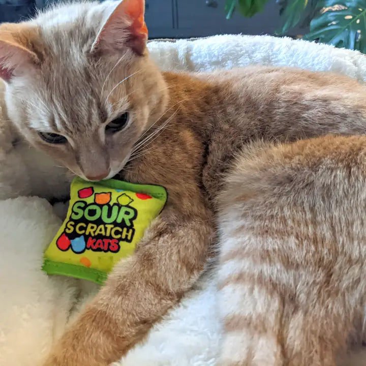 Sour Scratch Kats Cat Toy