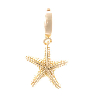 Sophie Charm Bar- Coastal Charms