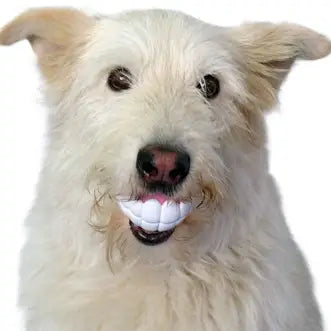 Humunga Chomp Dog Toy Ball- Mini Size