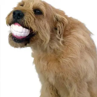 Humunga Chomp Dog Toy Ball- Mini Size